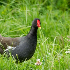 Untitled (88 Of 153).jpg